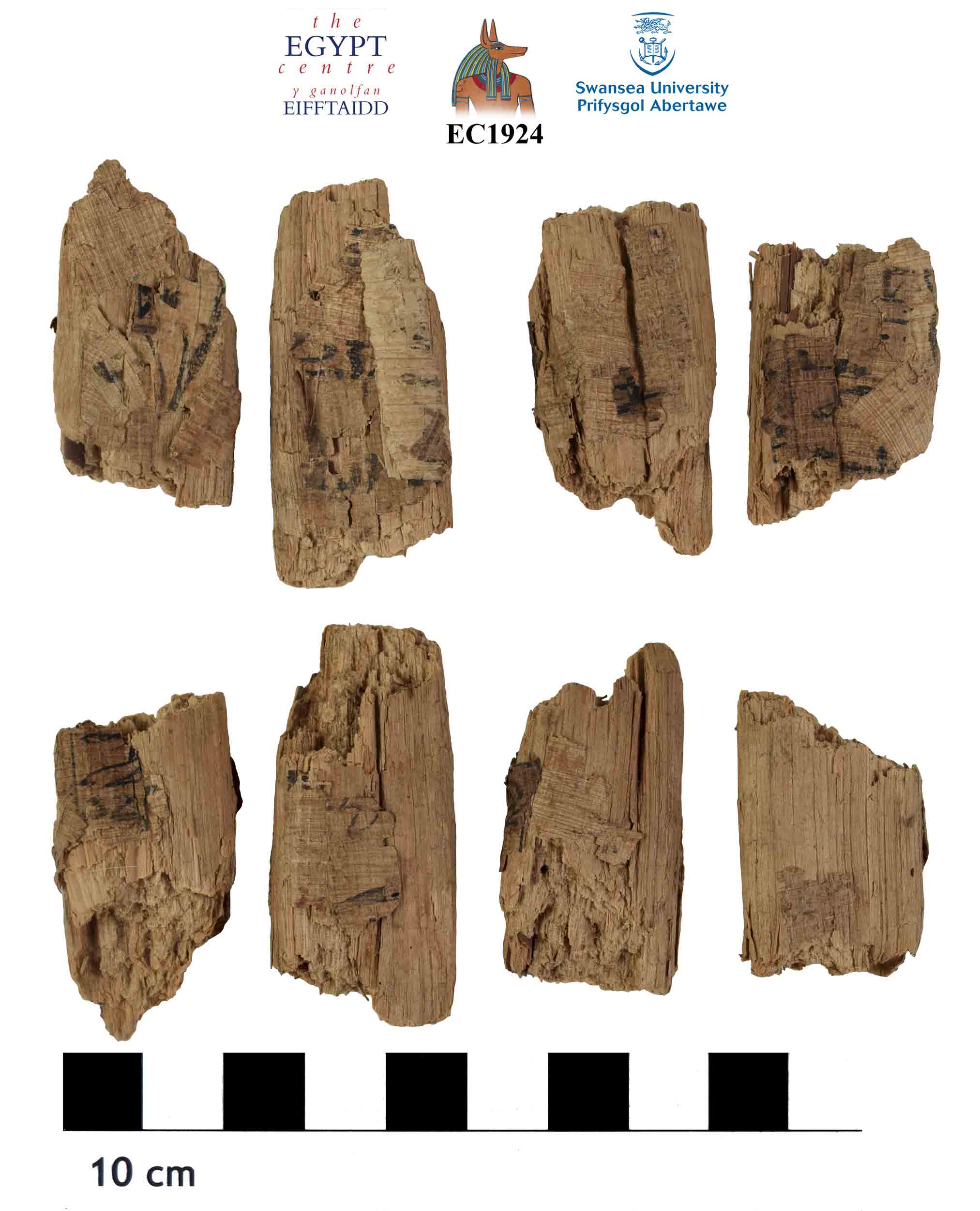 Image for: Fragments of plant stem with scraps of papyrus attached